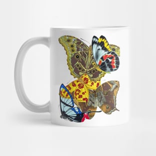 Butterflies Watercolor #13 Mug